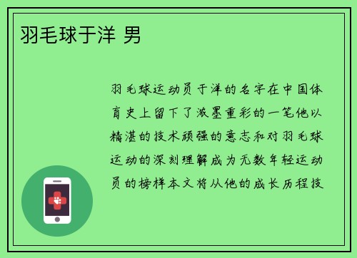 羽毛球于洋 男
