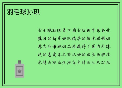 羽毛球孙琪
